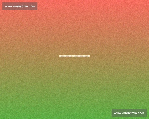 李冰洁两银一铜创纪录 中国泳军新加坡世锦赛砥砺前行