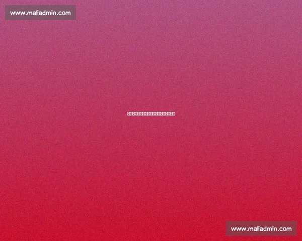 球台无界:樊振东与小弗的跨语言战术日常