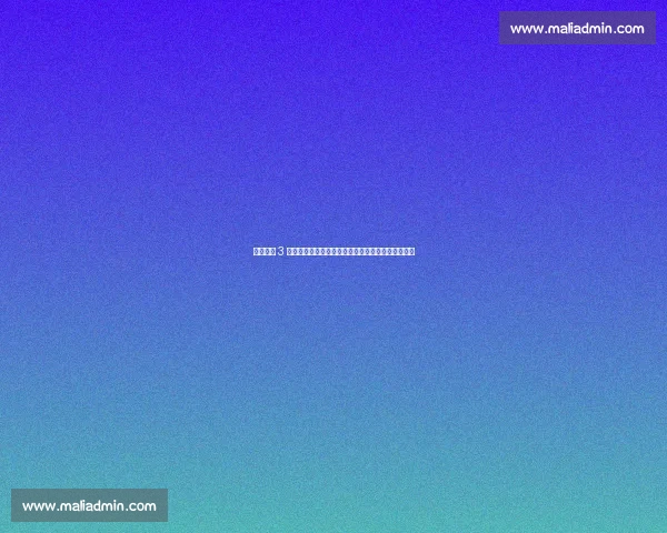 苏超单场 3 万观众破纪录！媒体人：看热闹正是足球魅力的起点