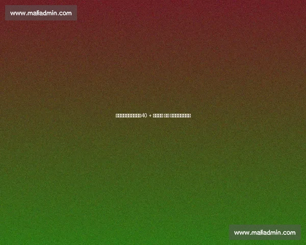 东北绿茵老炮儿护航：40 + 王老七带 太子 赵大牛闯江湖结论