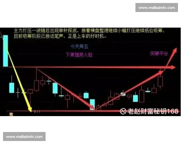千叶市原主场迎战金泽关键对决解析走势与看点前瞻赛季走势深度前瞻